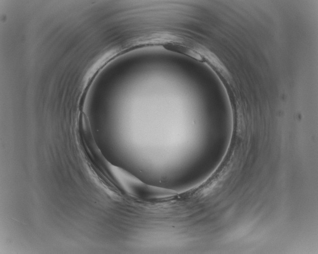 X0000073850850200608101223