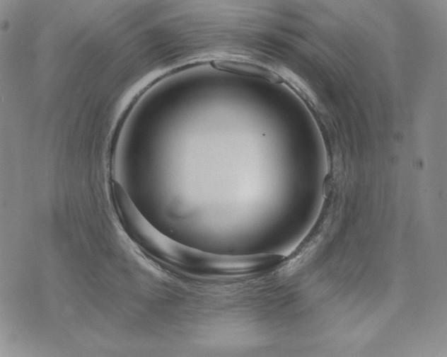 X0000073850854200608101223