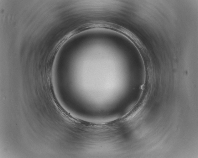 X0000073850857200608101223
