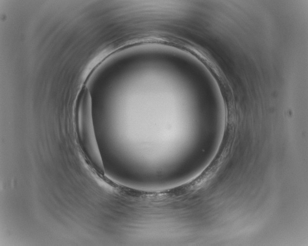 X0000073850858200608101223