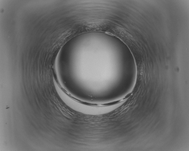 X0000073850868200608101223