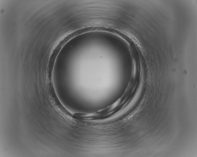 X0000073850880200608101222