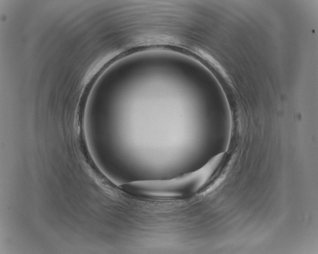 X0000073850885200608101222