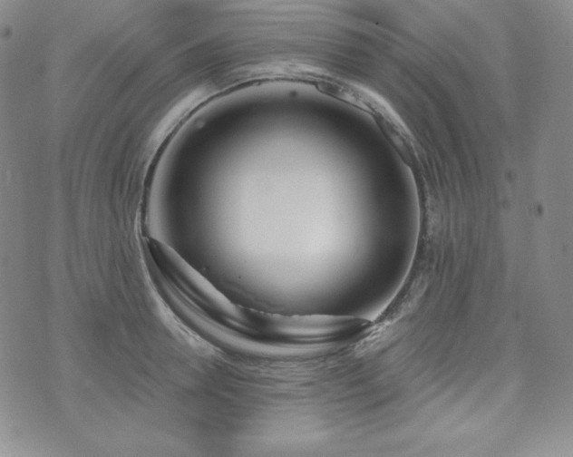 X0000073850946200608101222