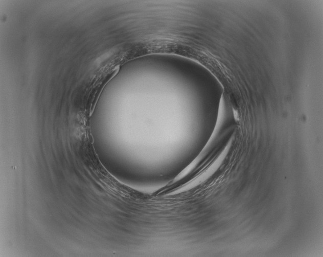 X0000073850964200608101221