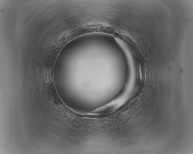 X0000073850965200608101221