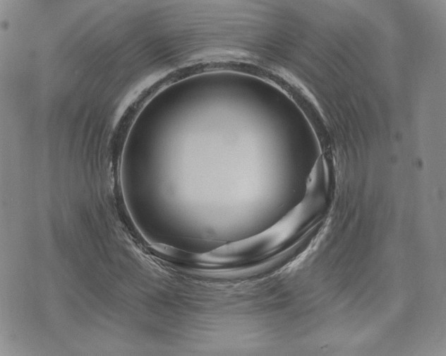 X0000073850973200608101221