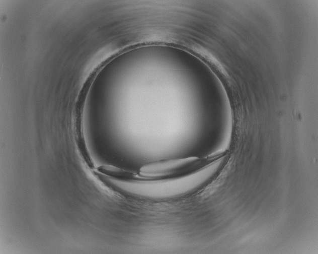 X0000073850991200608101221