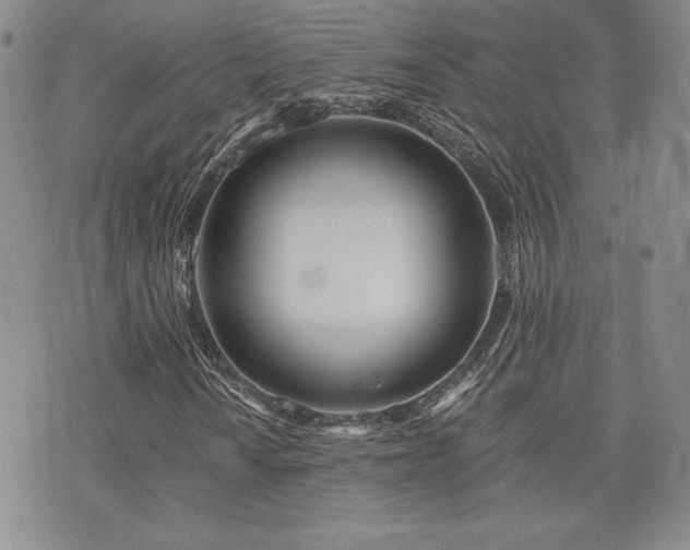 X0000073851010200608101220
