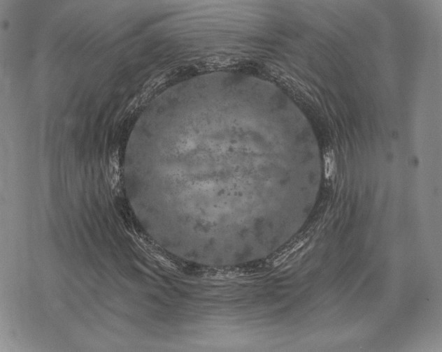 X0000073851011200608101220