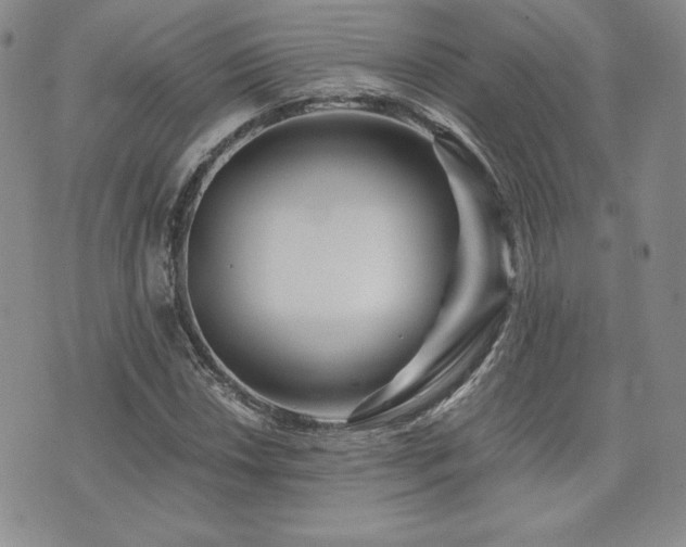 X0000073851018200608101220