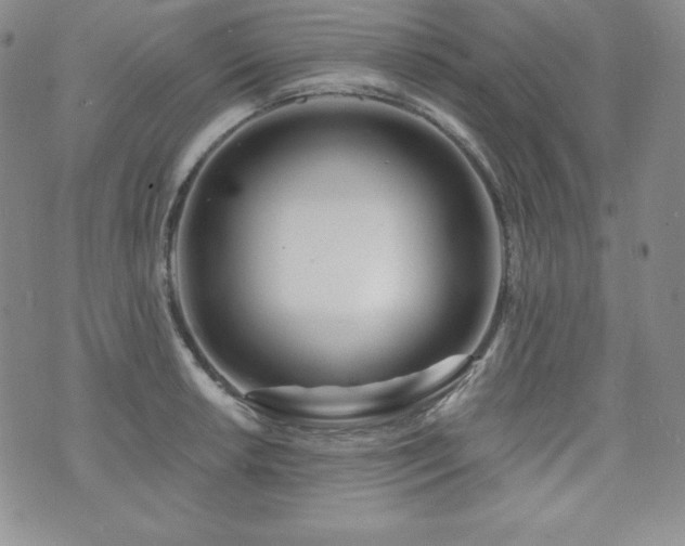 X0000073851042200608101220