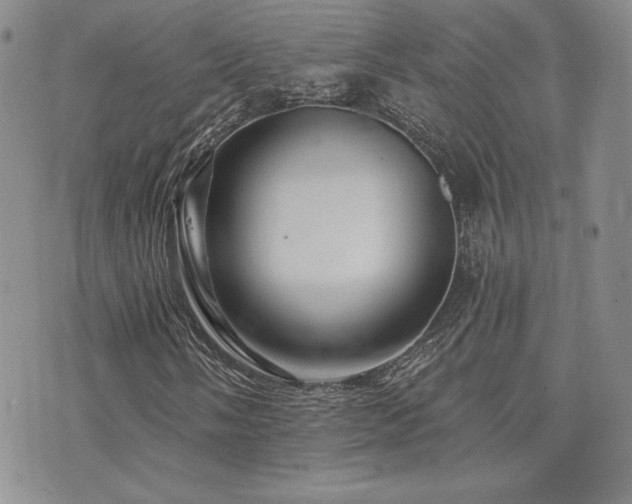 X0000073851058200608101220
