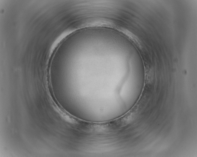 X0000073851086200608101219