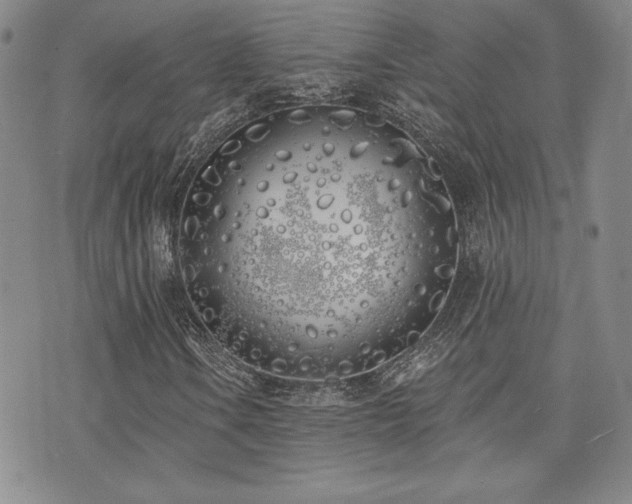X0000073851106200608101218