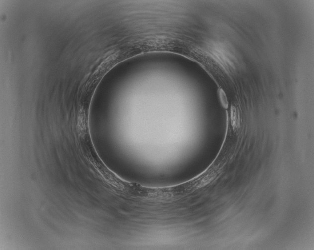 X0000073851107200608101218