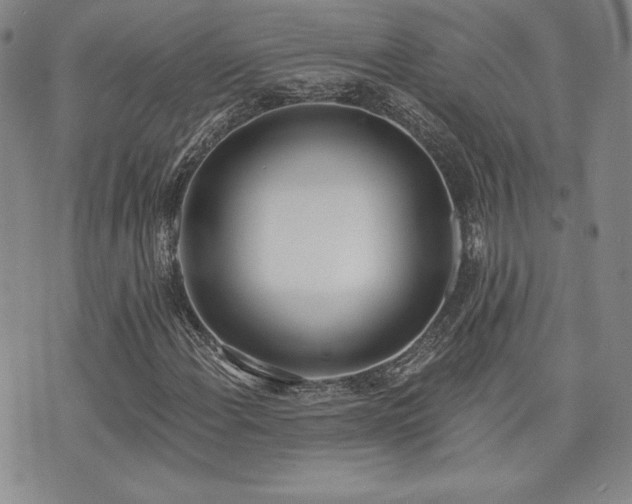 X0000073851108200608101218