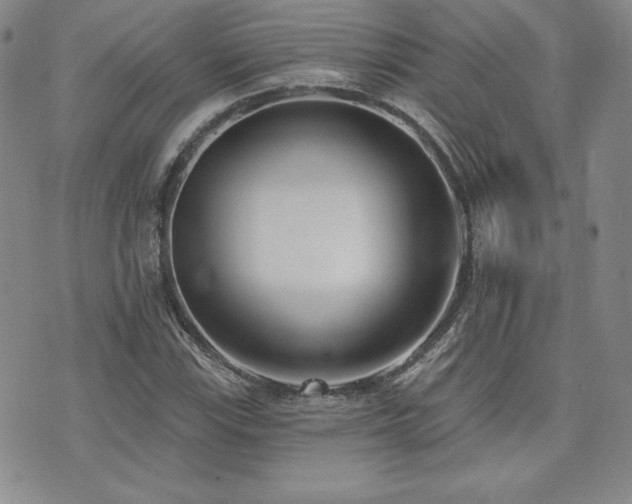 X0000073851115200608101218