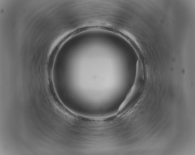 X0000073851120200608101218