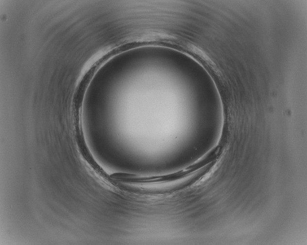 X0000073851122200608101218