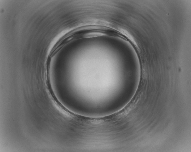 X0000073851136200608101219