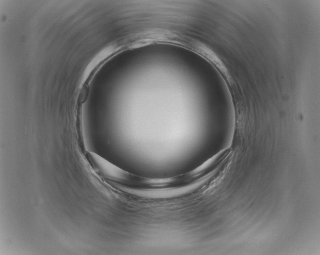 X0000073851146200608101219