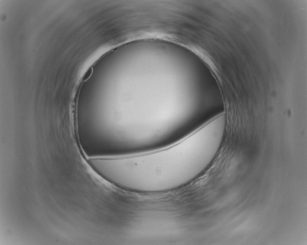 X0000073851151200608101219