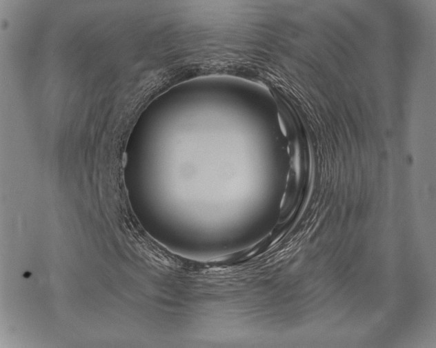 X0000073851153200608101218