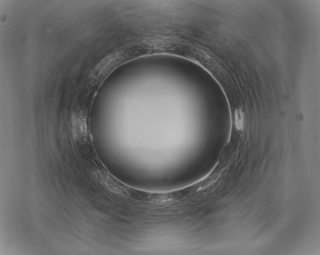 X0000073851155200608101218