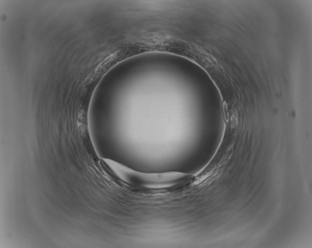 X0000073851156200608101218