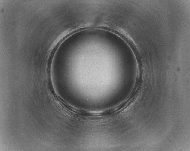 X0000073851173200608101218