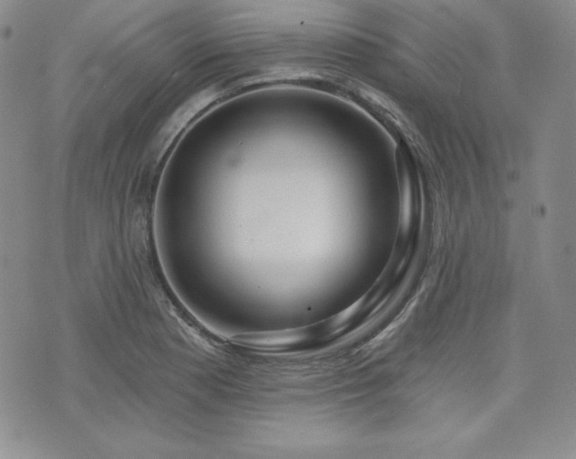X0000073851177200608101218