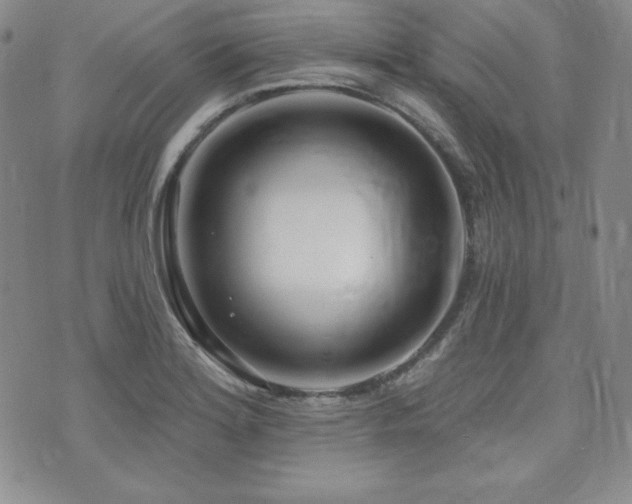 X0000073851180200608101218