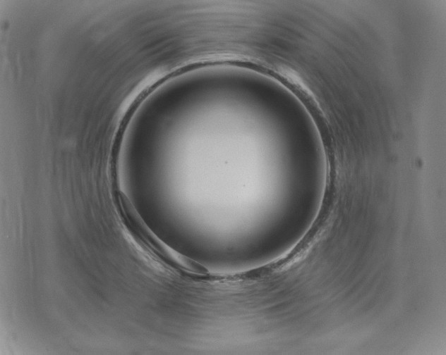X0000073851181200608101218
