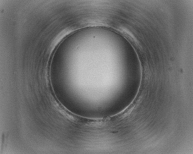 X0000073851182200608101218