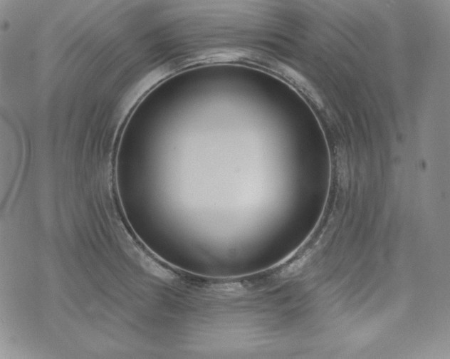 X0000073851186200608101217
