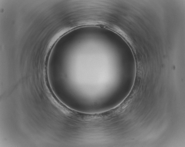 X0000073851187200608101217