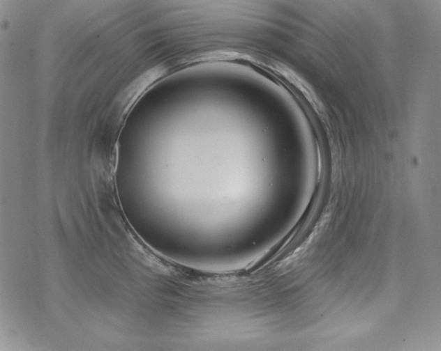 X0000073851193200608101217