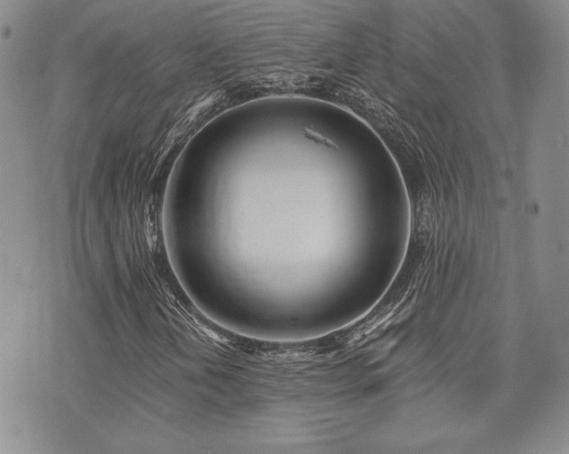 X0000073851202200608101217