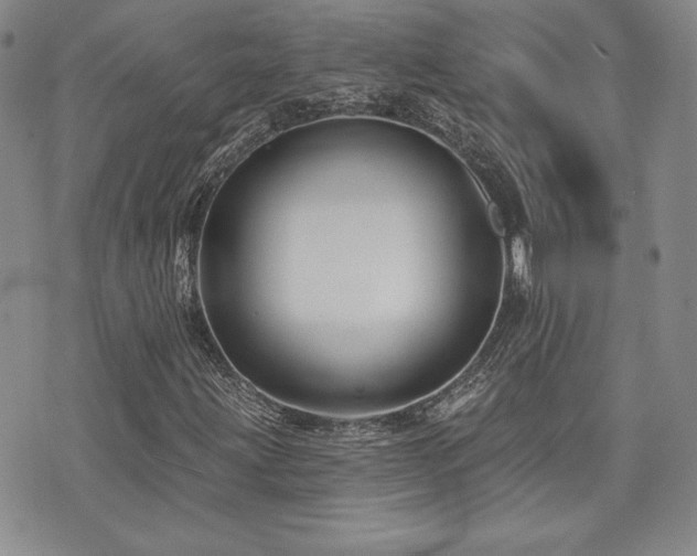 X0000073851203200608101217