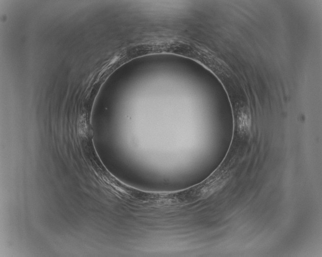 X0000073851204200608101217