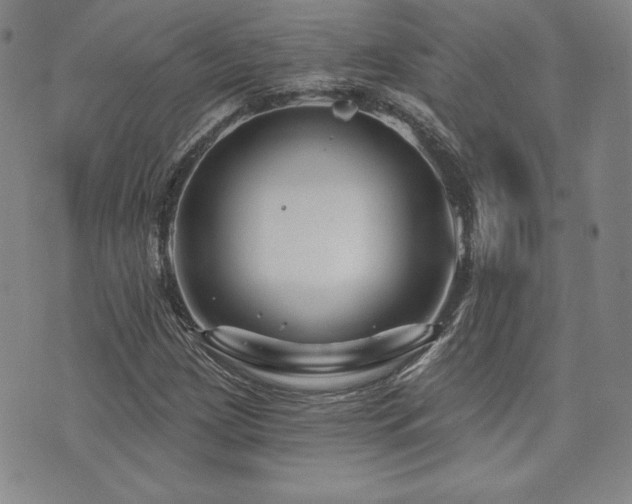 X0000073851209200608101217