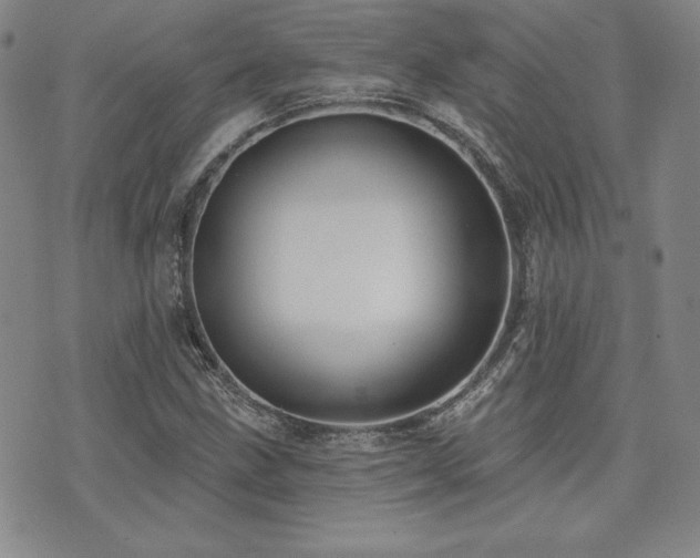 X0000073851211200608101217