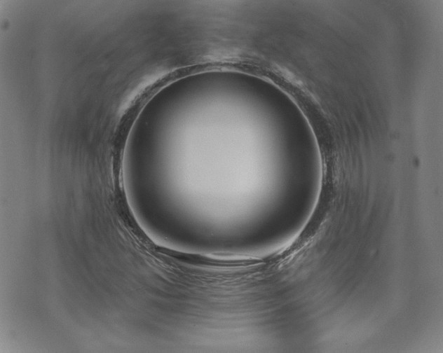 X0000073851214200608101217