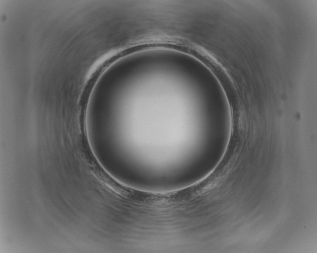 X0000073851222200608101217