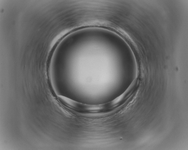X0000073851230200608101217