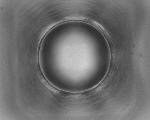 X0000073851236200608101217