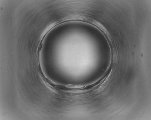 X0000073851242200608101217