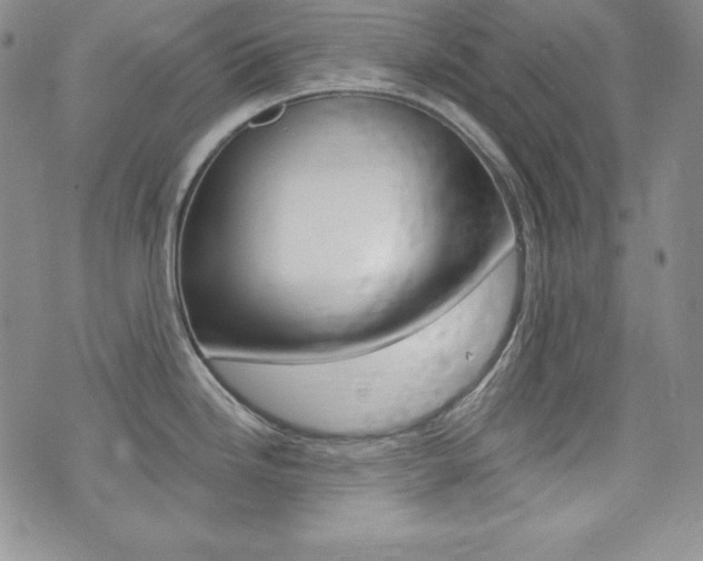X0000073851246200608101217