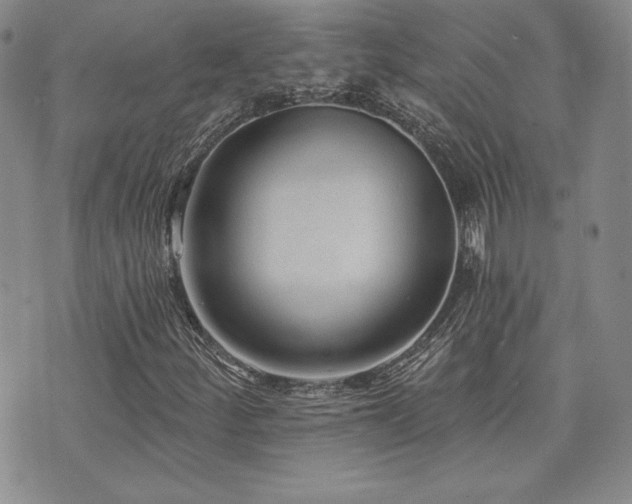 X0000073851252200608101216